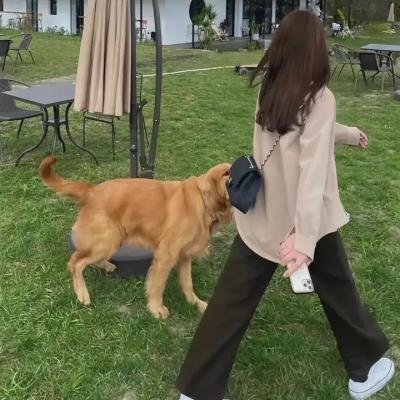 美国叛徒：轴心莎莉的审判